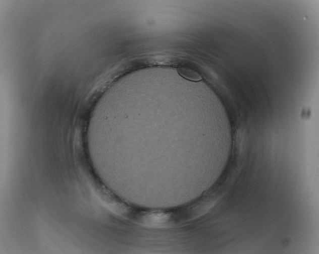 X0000111830217200908131554