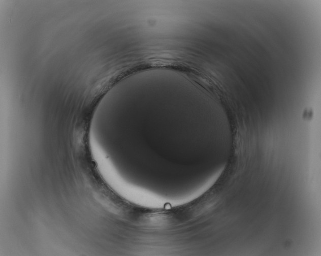 X0000111830219200908131554