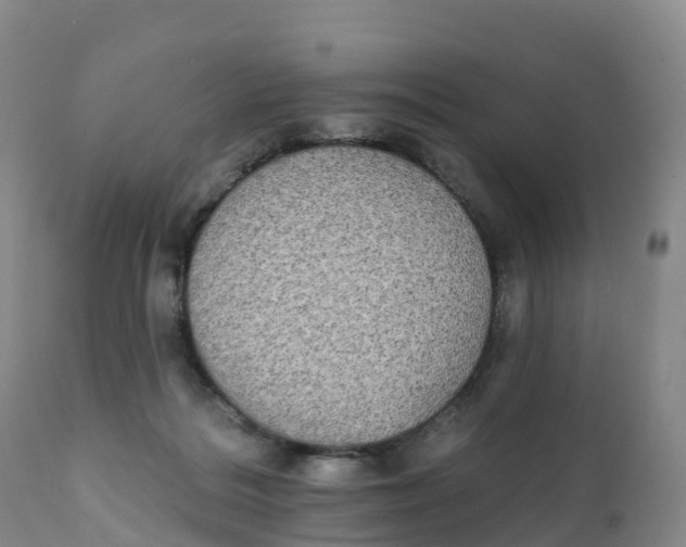 X0000111830220200908131554