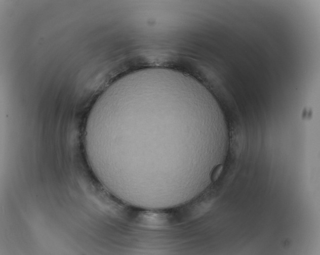 X0000111830221200908131554