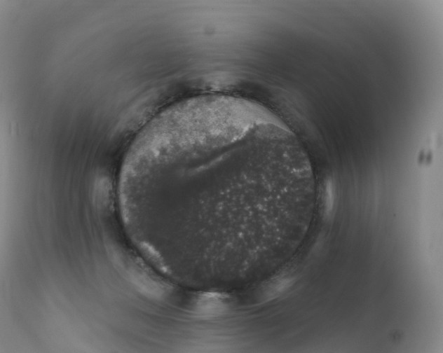 X0000111830222200908131554