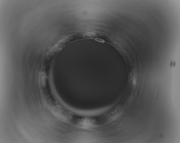 X0000111830223200908131554