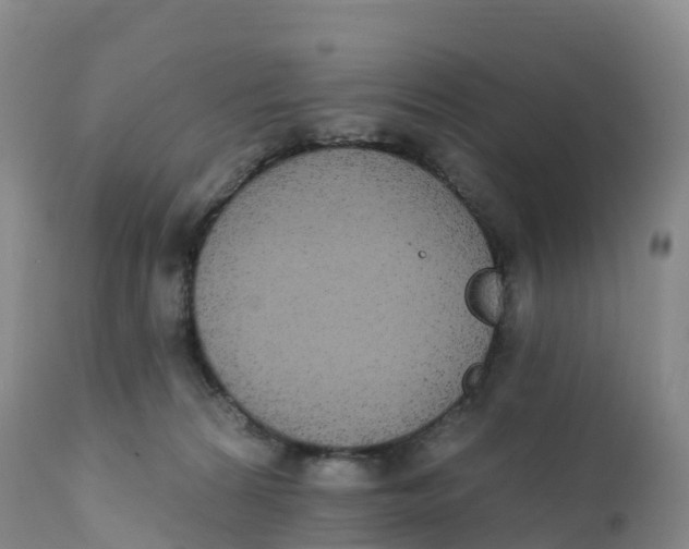 X0000111830224200908131554