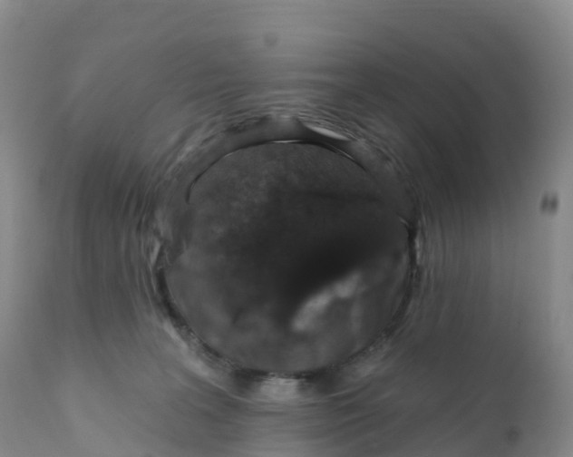 X0000111830227200908131554