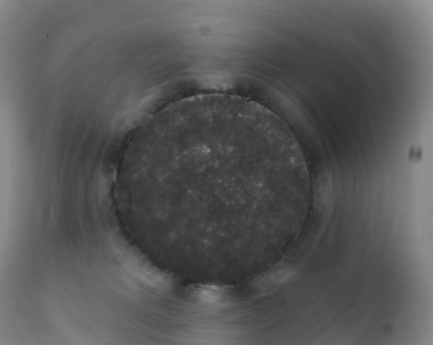 X0000111830229200908131554