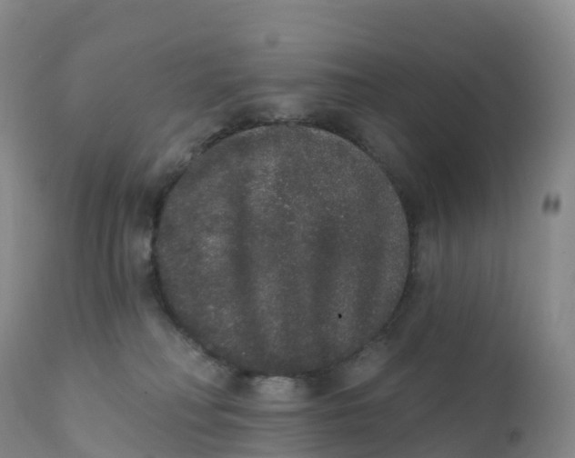 X0000111830230200908131554