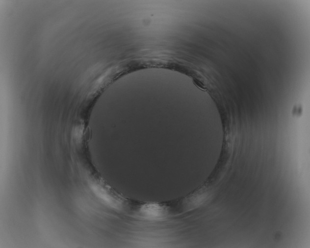 X0000111830231200908131553