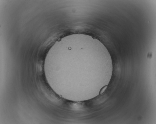 X0000111830232200908131553