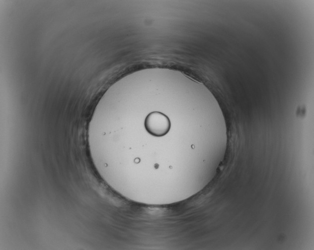 X0000111830233200908131553