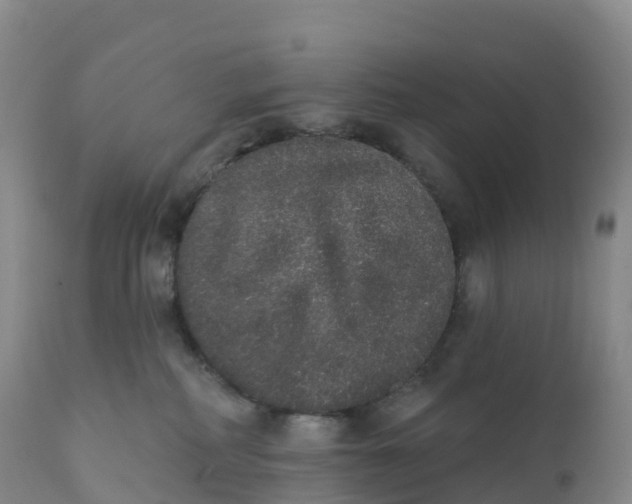 X0000111830234200908131553