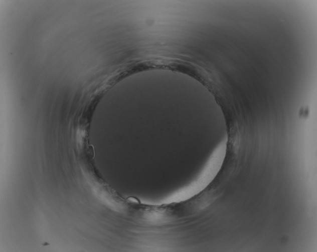 X0000111830235200908131553