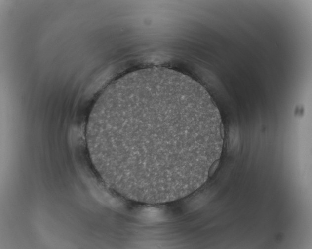 X0000111830236200908131553