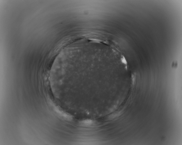 X0000111830237200908131553