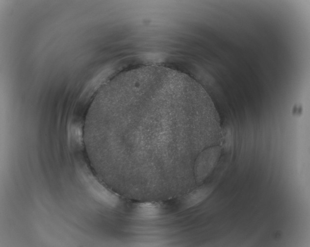 X0000111830238200908131553