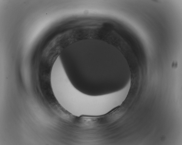 X0000111830239200908131553