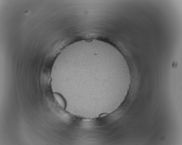 X0000111830240200908131553