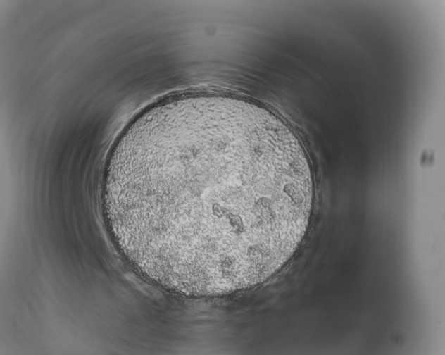 X0000111830241200908131553