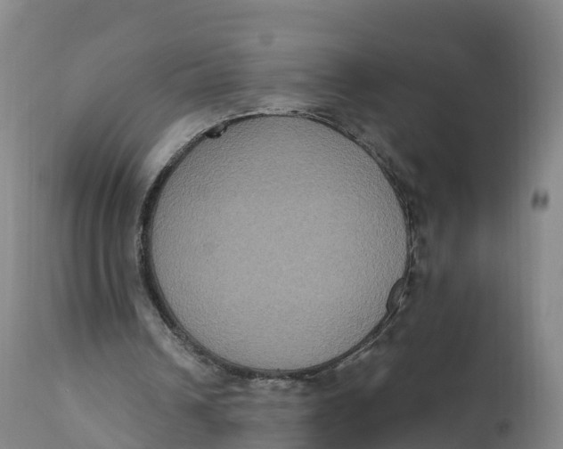 X0000111830242200908131553