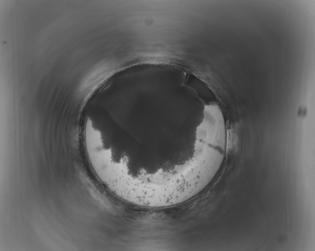 X0000111830243200908131553