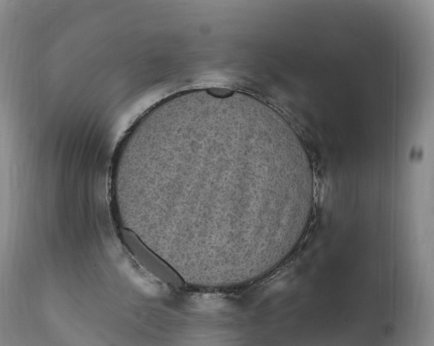 X0000111830244200908131553