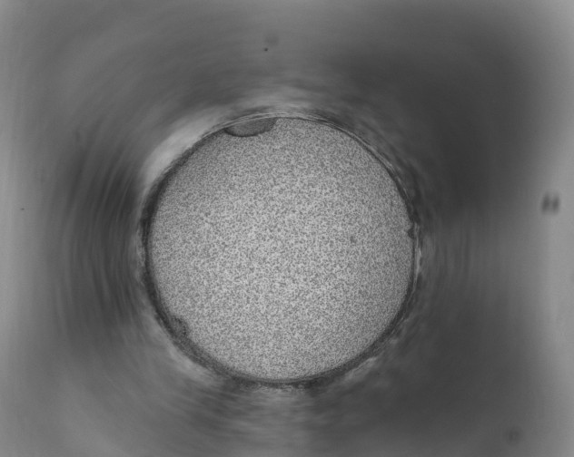 X0000111830245200908131553