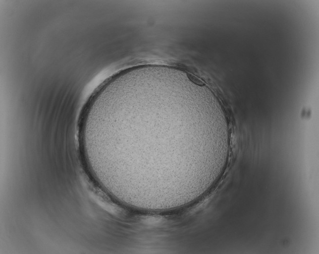 X0000111830246200908131553