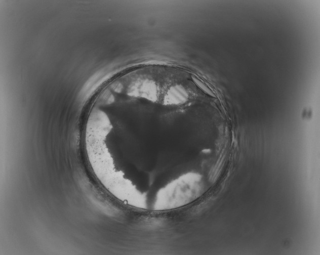 X0000111830247200908131553