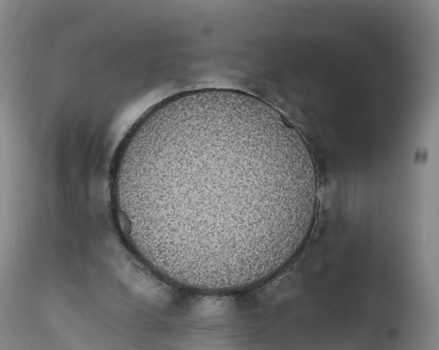 X0000111830248200908131553