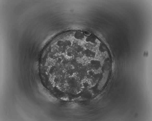 X0000111830249200908131553