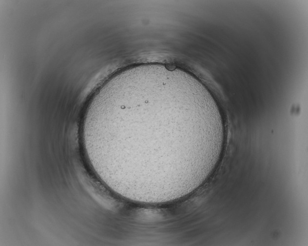 X0000111830250200908131553