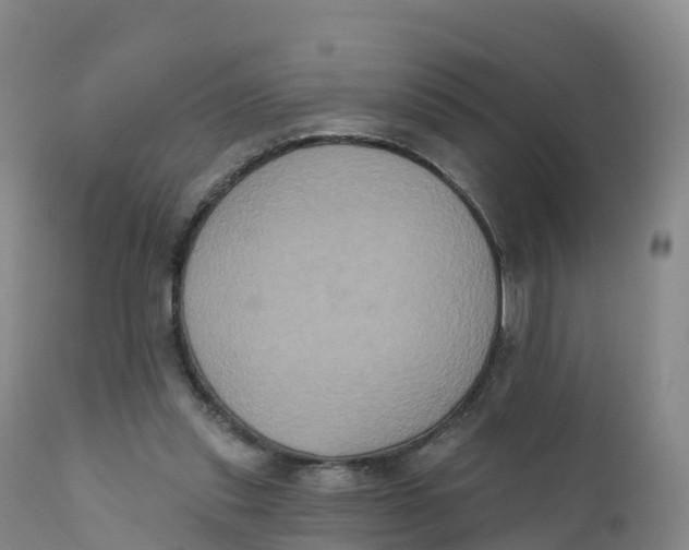 X0000111830253200908131553