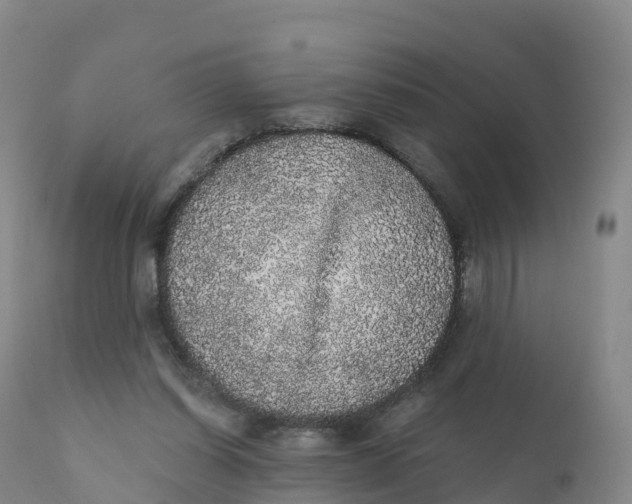 X0000111830254200908131553