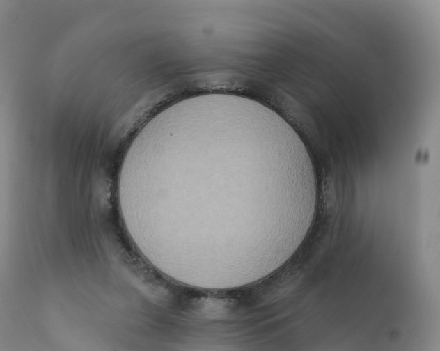 X0000111830255200908131553