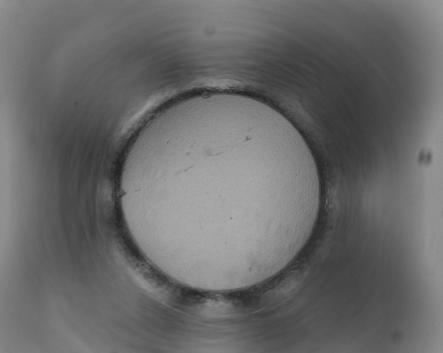 X0000111830256200908131553