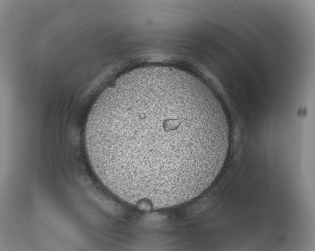 X0000111830257200908131553