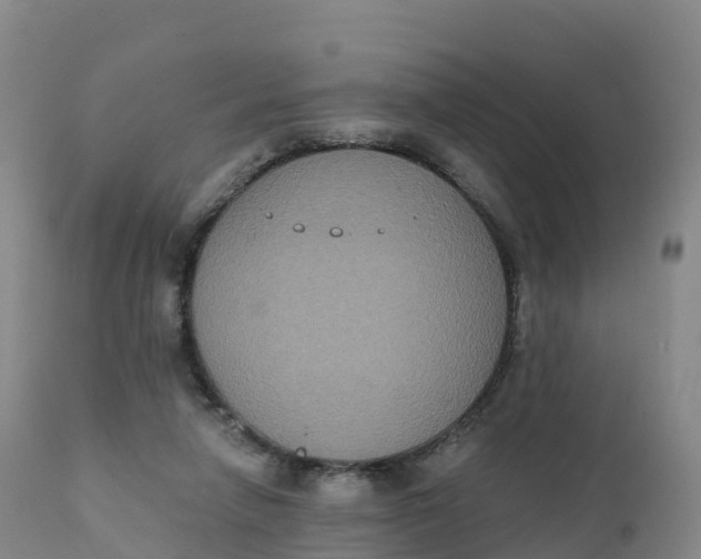 X0000111830258200908131553