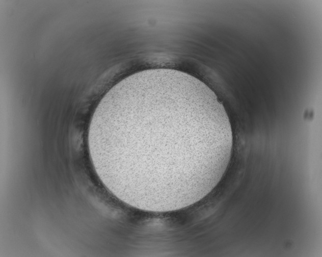 X0000111830259200908131553