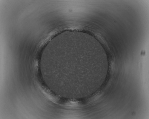 X0000111830260200908131553