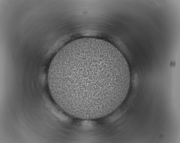 X0000111830261200908131553