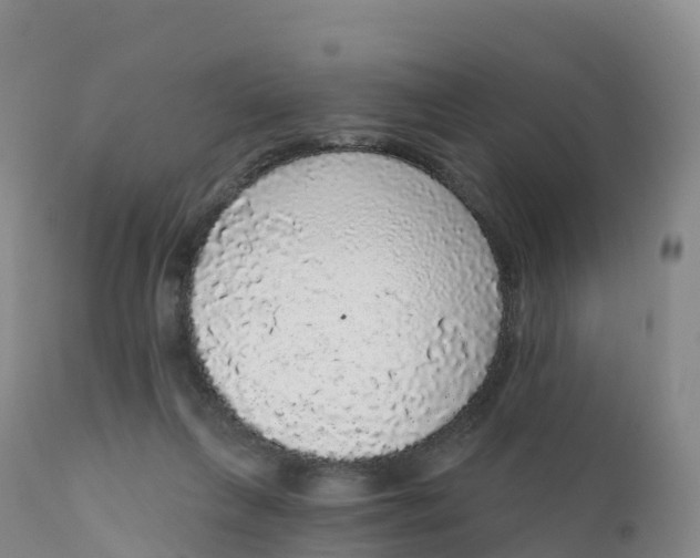 X0000111830263200908131553