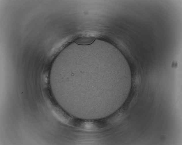 X0000111830264200908131553