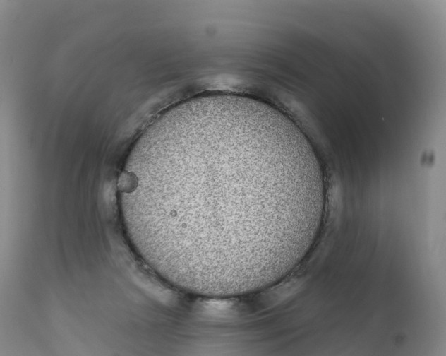 X0000111830265200908131553