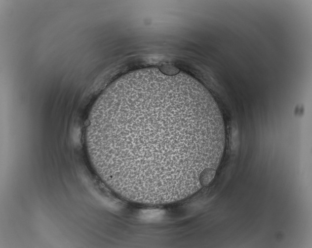 X0000111830266200908131553