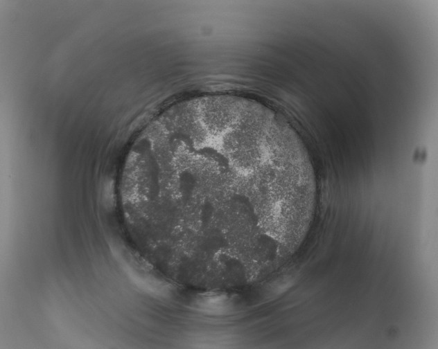 X0000111830267200908131553