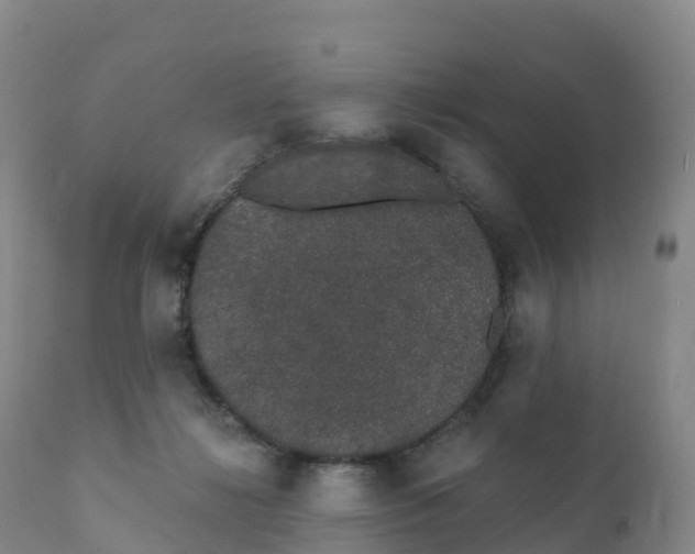 X0000111830268200908131553