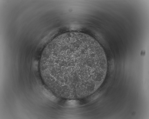 X0000111830269200908131553