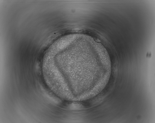 X0000111830270200908131553