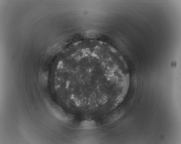 X0000111830271200908131553