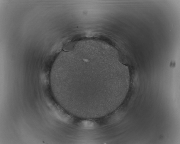 X0000111830272200908131553