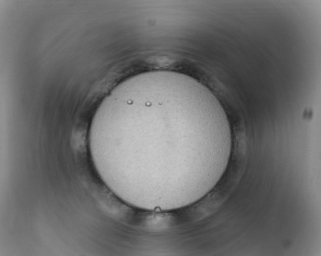 X0000111830274200908131553